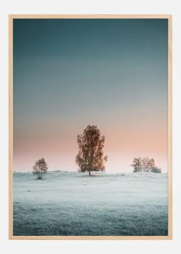 A Peaceful Morning Poster (21x29.7 cm (A4)) Ultima șansă