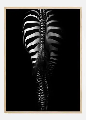 Zebra Tail Poster (21x29.7 cm (A4)) Nu rata