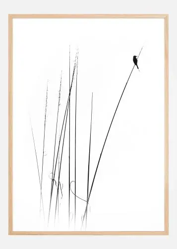 A sabbatical Poster (21x29.7 cm (A4)) Vezi acum