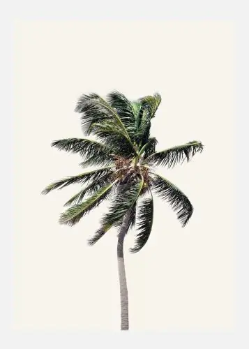 Windy Palm Tree Tablou Pe Pânză (30x40 cm) Preț promoțional