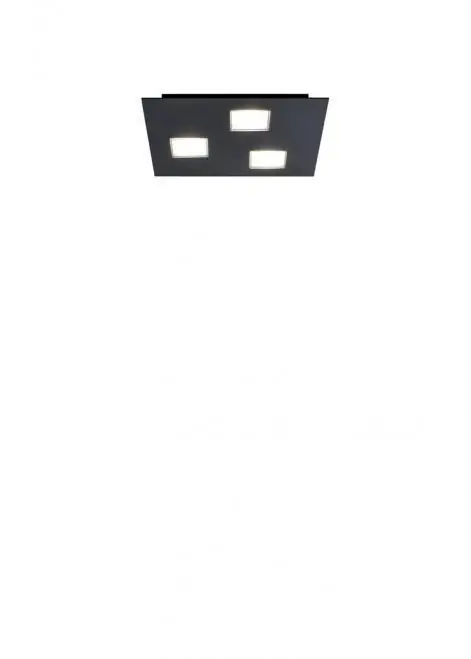 Plată securizată Montaj de iluminat pentru tavan Fabbian Quarter F38 5W 30x30cm - Negru - F38 G09 02