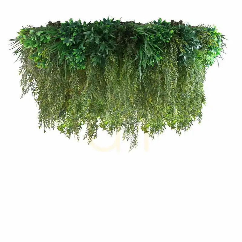 Green Serenity FR UV Plant Rim Cel mai bun preț