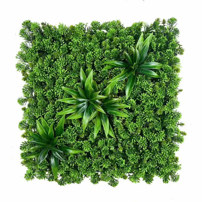 Zid verde suculent 50x50cm Plată securizată
