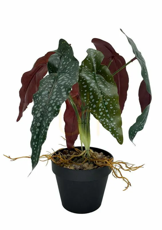 Begonia artificială Rosie Plant 35 cm Reduceri
