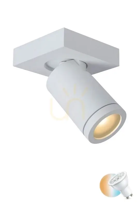 Cumpără online Lucide TAYLOR Plafond 09930/05/31