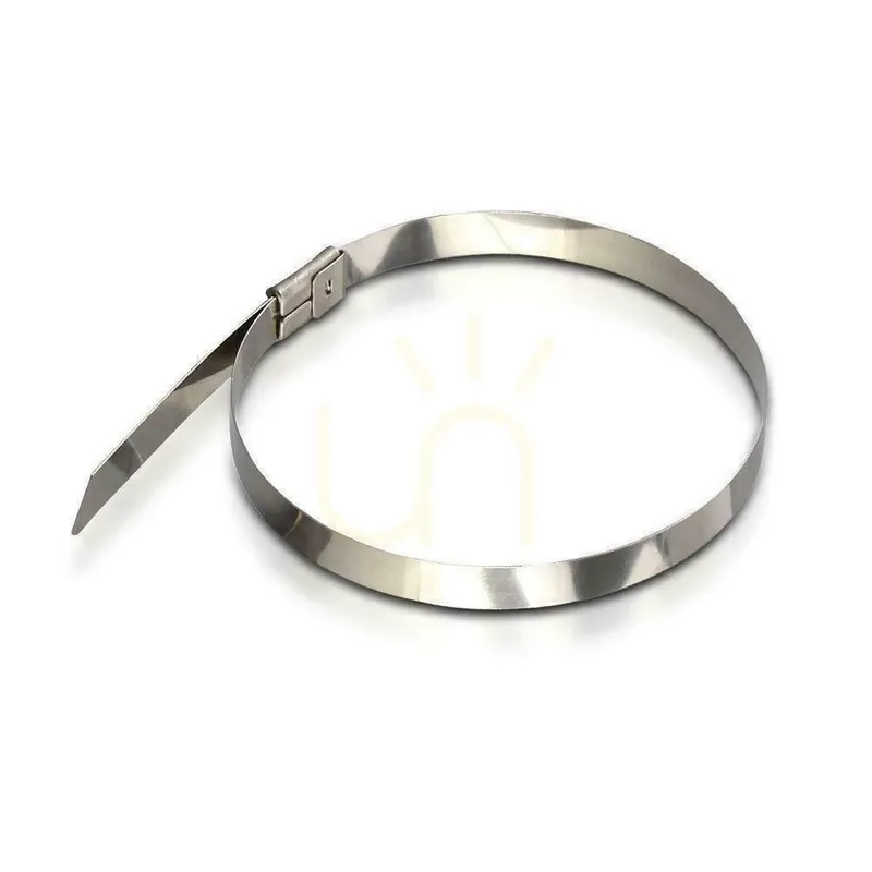 V-TAC 4.6x200mm cravată din oțel inoxidabil (pachet. 100pcs) Vezi acum