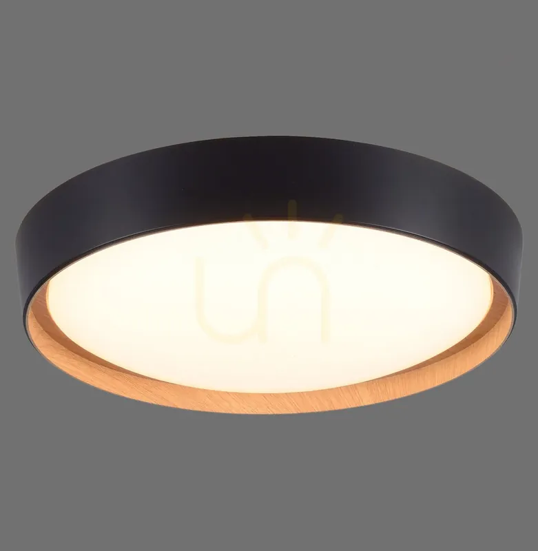 Comandă acum Plafond EMILIA 14347-18 Negru 1xLED