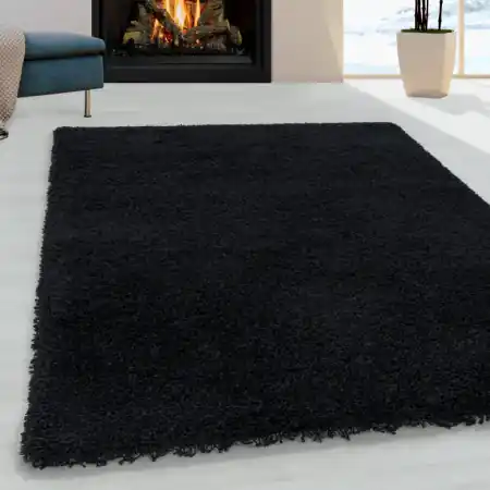 Preferatul clienților Covor Sydney Negru 60x110 cm