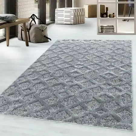 Comandă acum Covor Pisa Gri 200x290 cm